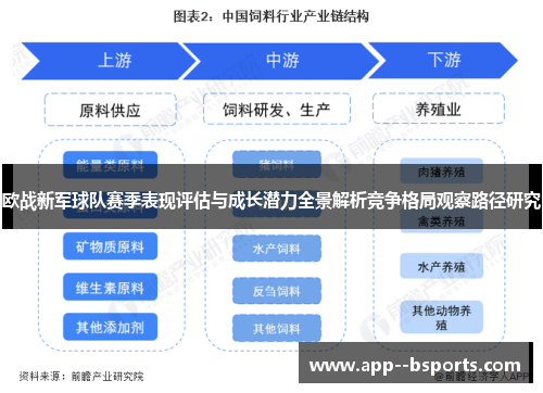 欧战新军球队赛季表现评估与成长潜力全景解析竞争格局观察路径研究